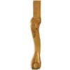 Medium Ball and Claw Cabriole Leg narrow section